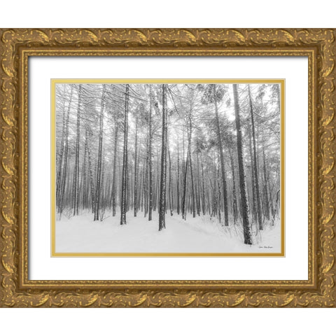 Let It Snow Forest   Gold Ornate Wood Framed Art Print with Double Matting by Seven Trees Design