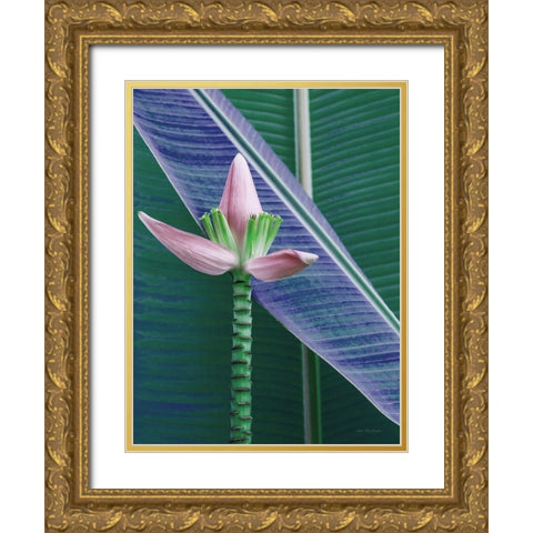Banana Flower Gold Ornate Wood Framed Art Print with Double Matting by Seven Trees Design