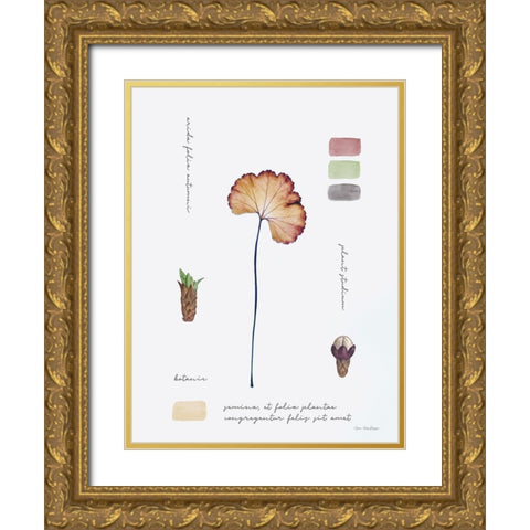 Botanical Notes Gold Ornate Wood Framed Art Print with Double Matting by Seven Trees Design