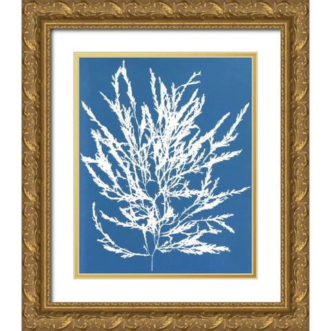 Blue Botanical I Gold Ornate Wood Framed Art Print with Double Matting by Seven Trees Design