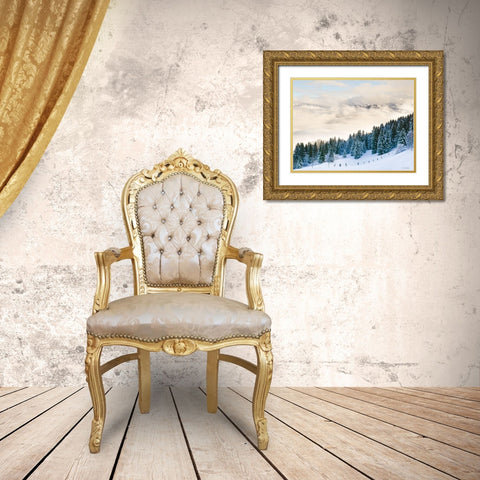 Pines in the Sky    Gold Ornate Wood Framed Art Print with Double Matting by Seven Trees Design