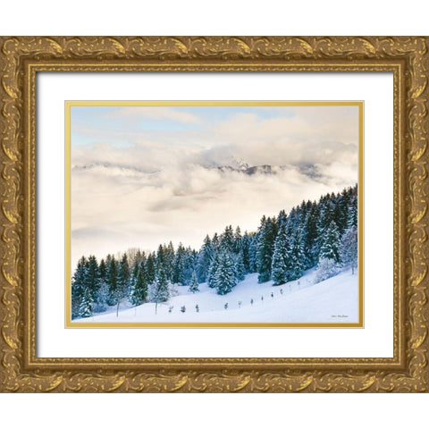 Pines in the Sky    Gold Ornate Wood Framed Art Print with Double Matting by Seven Trees Design