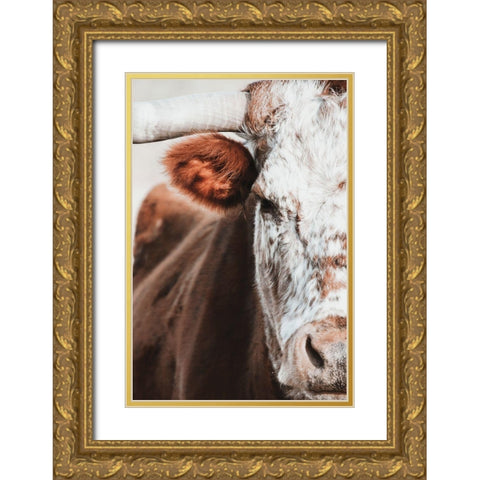 Red and White Bull Gold Ornate Wood Framed Art Print with Double Matting by White Ladder