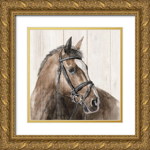 Horse Portrait Gold Ornate Wood Framed Art Print with Double Matting by White Ladder