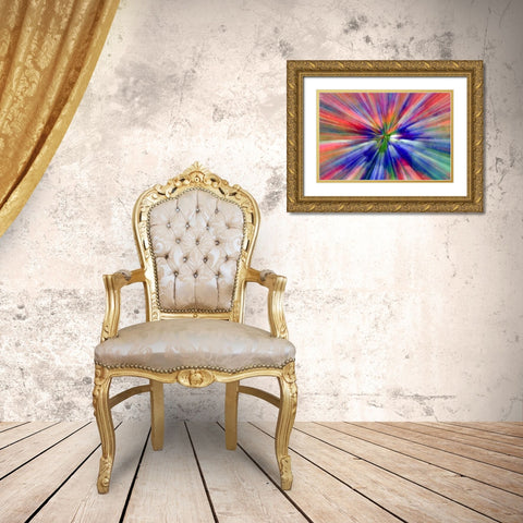Abstract Zoom abstract of pansy flowers Gold Ornate Wood Framed Art Print with Double Matting by Needle, Charles