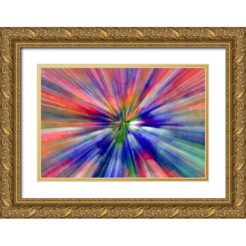 Abstract Zoom abstract of pansy flowers Gold Ornate Wood Framed Art Print with Double Matting by Needle, Charles