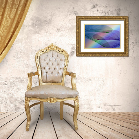 Abstract of dragonfly wings and rainbow Gold Ornate Wood Framed Art Print with Double Matting by Paulson, Don