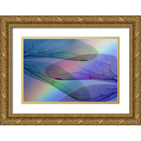 Abstract of dragonfly wings and rainbow Gold Ornate Wood Framed Art Print with Double Matting by Paulson, Don