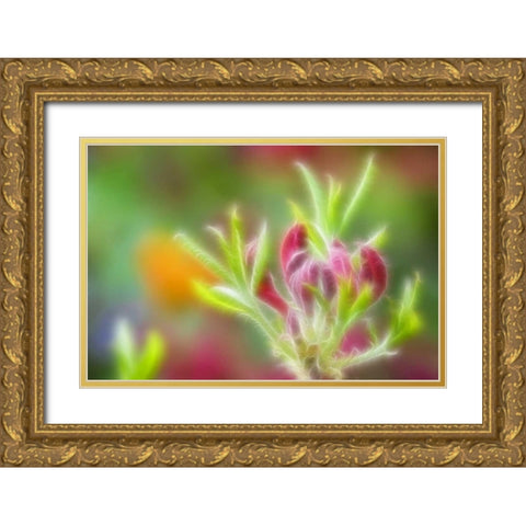 Abstract close-up of azalea buds Gold Ornate Wood Framed Art Print with Double Matting by Paulson, Don