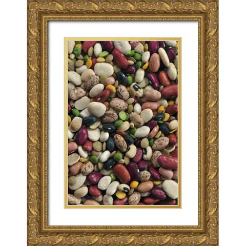 USA Colorful dried bean soup mixture Gold Ornate Wood Framed Art Print with Double Matting by Terrill, Steve