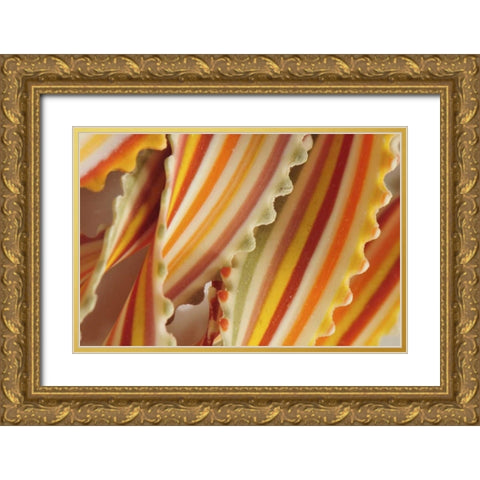 USA Close-up of dried rainbow pasta noodles Gold Ornate Wood Framed Art Print with Double Matting by Terrill, Steve