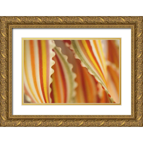 USA Close-up of dried rainbow pasta noodles Gold Ornate Wood Framed Art Print with Double Matting by Terrill, Steve