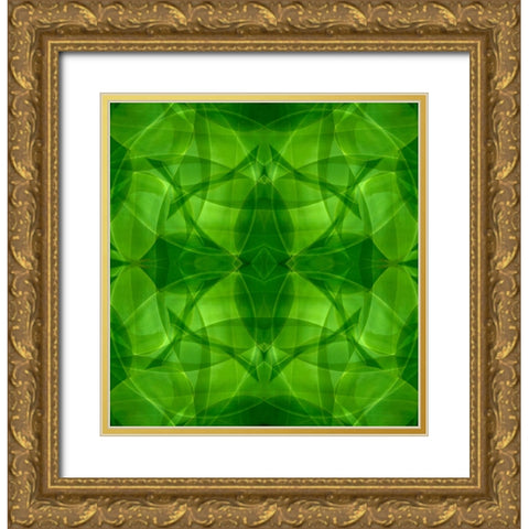 Green kaleidoscope abstract Gold Ornate Wood Framed Art Print with Double Matting by Jaynes Gallery