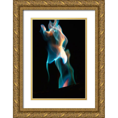 Colorful flames Gold Ornate Wood Framed Art Print with Double Matting by Herbig, David