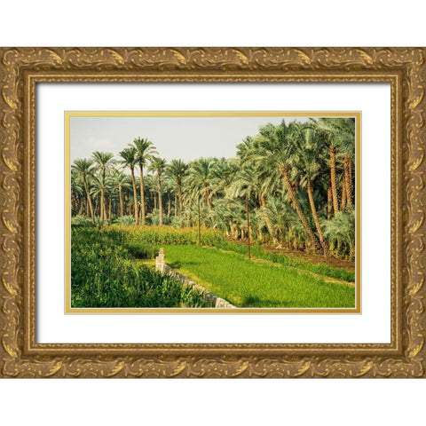 Nile River Expedition-Lower Egypt-Giza Streetscene of farm with date palms Gold Ornate Wood Framed Art Print with Double Matting by Jones, Alison