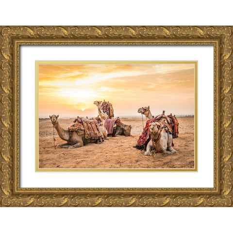 Africa-Egypt-Cairo Giza plateau Camels at the Great Pyramids of Giza Gold Ornate Wood Framed Art Print with Double Matting by Wilson, Emily