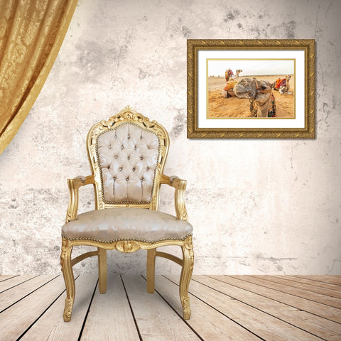 Africa-Egypt-Cairo Giza plateau Camels near the pyramids at Giza Gold Ornate Wood Framed Art Print with Double Matting by Wilson, Emily