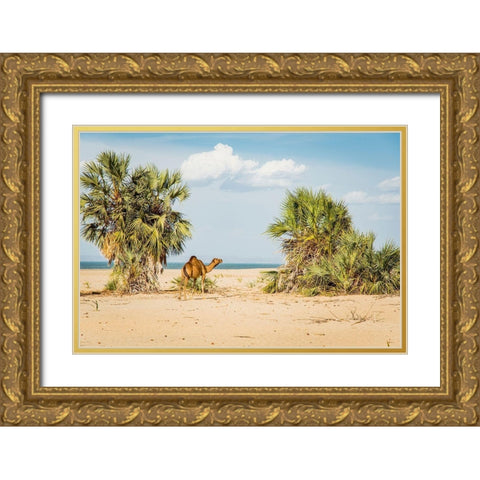 East Africa-Kenya Lake Turkana Basin-Lobolo Camp-beach scene with camels Gold Ornate Wood Framed Art Print with Double Matting by Jones, Alison