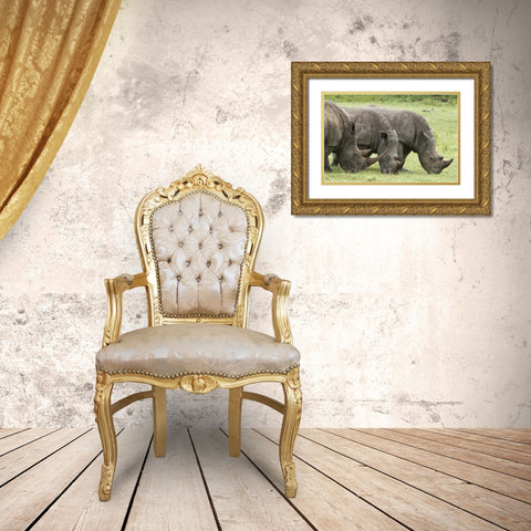 Kenya, Lake Nakuru NP White rhinoceroses grazing Gold Ornate Wood Framed Art Print with Double Matting by Kirkland, Dennis