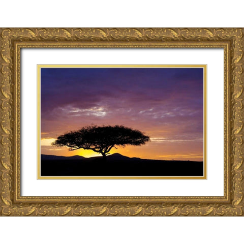 Kenya, Masai Mara Sunrise silhouettes acacias Gold Ornate Wood Framed Art Print with Double Matting by Kirkland, Dennis
