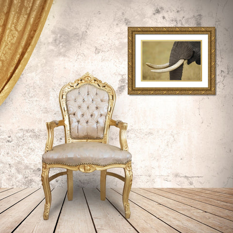 Kenya, Masai Mara, African elephant tusks Gold Ornate Wood Framed Art Print with Double Matting by Morris, Arthur