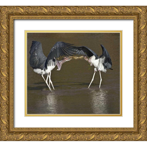Kenya Marabou storks with nesting material Gold Ornate Wood Framed Art Print with Double Matting by Williams, Joanne