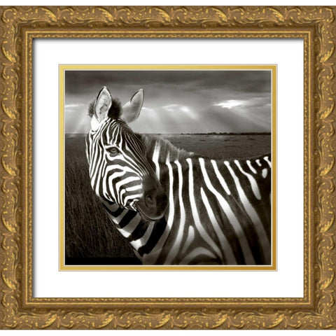 Kenya Black and white of zebra and plain Gold Ornate Wood Framed Art Print with Double Matting by Williams, Joanne