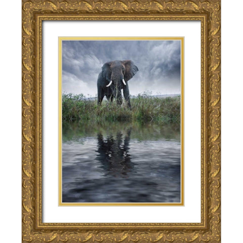 Kenya, Masai Mara Elephant reflecting in water Gold Ornate Wood Framed Art Print with Double Matting by Zuckerman, Jim