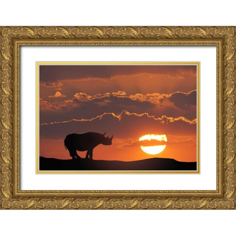 Kenya, Masai Mara White rhinos at sunset Gold Ornate Wood Framed Art Print with Double Matting by Zuckerman, Jim