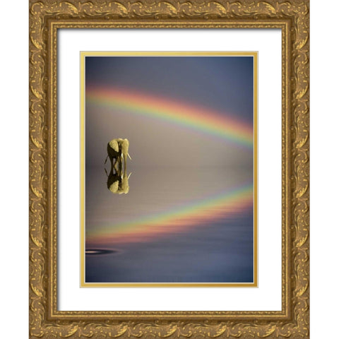 Kenya, Masai Mara Bull elephant and rainbow Gold Ornate Wood Framed Art Print with Double Matting by Zuckerman, Jim