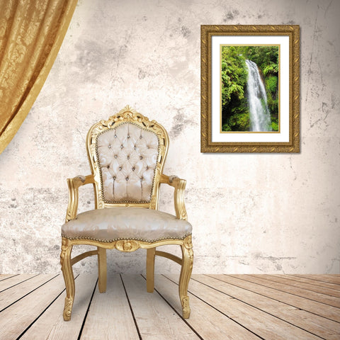 Madagascar-Antsiranana Amber Mountain National Park waterfall Gold Ornate Wood Framed Art Print with Double Matting by Hogstrom, Inger