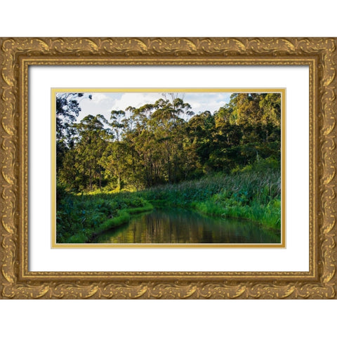 Madagascar-Andasibe-Vakona Lodge-Lemur Island Sunset over the canals that keep the lemurs Gold Ornate Wood Framed Art Print with Double Matting by Hogstrom, Inger