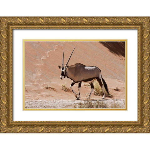 Male Oryx, Namib Naukluft, Namib Desert, Namibia Gold Ornate Wood Framed Art Print with Double Matting by Young, Bill