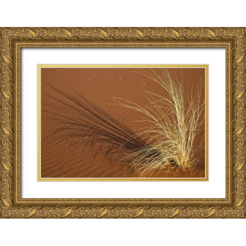 Tuft of grass in the Namib Desert, Namibia Gold Ornate Wood Framed Art Print with Double Matting by Young, Bill