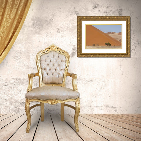 Sand Dunes, Namib Naukluft, Namib Desert, Namibia Gold Ornate Wood Framed Art Print with Double Matting by Young, Bill