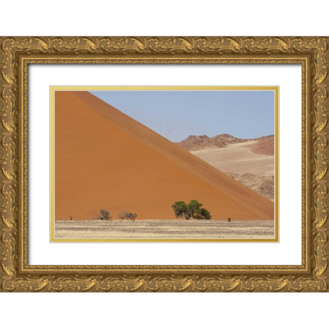 Sand Dunes, Namib Naukluft, Namib Desert, Namibia Gold Ornate Wood Framed Art Print with Double Matting by Young, Bill