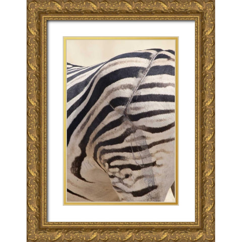 Namibia, Etosha NP Zebras scarred hind end Gold Ornate Wood Framed Art Print with Double Matting by Kaveney, Wendy