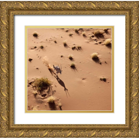 Namibia, Sossusvlei Aerial of oryx and shadow Gold Ornate Wood Framed Art Print with Double Matting by Kaveney, Wendy