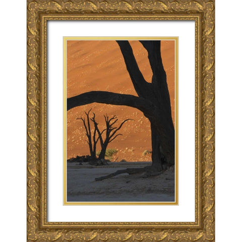 Namibia, Namib Desert Silhouette of lone tree Gold Ornate Wood Framed Art Print with Double Matting by Kaveney, Wendy