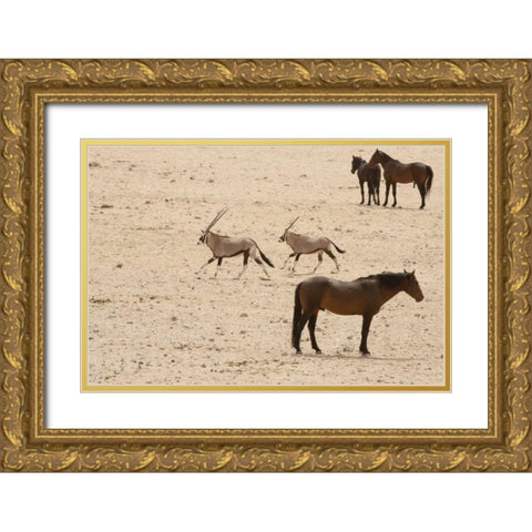 Namibia, Aus,  Namib Desert Oryxes and horses Gold Ornate Wood Framed Art Print with Double Matting by Kaveney, Wendy