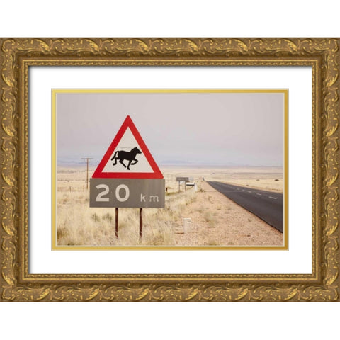 Namibia, Aus Wild horse warning sign Gold Ornate Wood Framed Art Print with Double Matting by Kaveney, Wendy