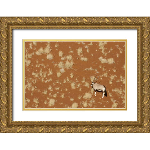 Namibia, Namib-Naukluft , Sossusvlei Lone oryx Gold Ornate Wood Framed Art Print with Double Matting by Kaveney, Wendy