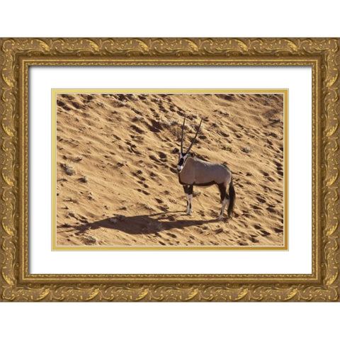 Namibia, Namib-Naukluft , Sossusvlei Lone oryx Gold Ornate Wood Framed Art Print with Double Matting by Kaveney, Wendy