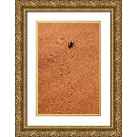 Namibia, Sossusvlei A beetle makes tracks Gold Ornate Wood Framed Art Print with Double Matting by Kaveney, Wendy