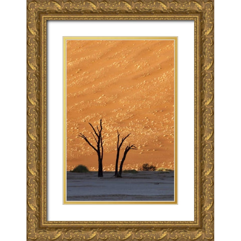 Namibia, Sossusvlei Dead trees with sand dune Gold Ornate Wood Framed Art Print with Double Matting by Kaveney, Wendy
