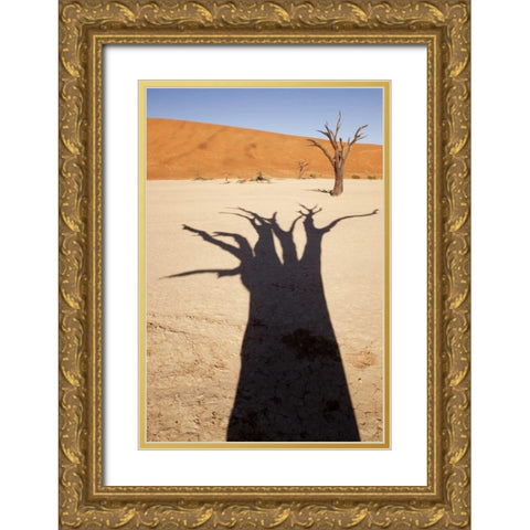 Namibia, Sossusvlei Dead tree casts shadow Gold Ornate Wood Framed Art Print with Double Matting by Kaveney, Wendy