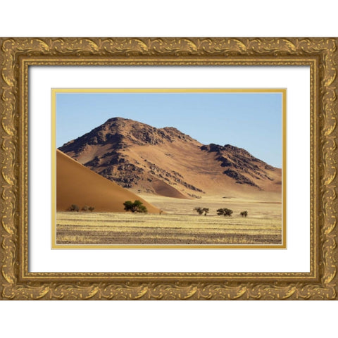 Namibia, Sossusvlei Sand dune and mountain Gold Ornate Wood Framed Art Print with Double Matting by Kaveney, Wendy