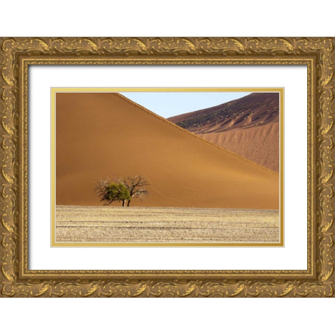 Namibia, Sossusvlei Contrasting sand dunes Gold Ornate Wood Framed Art Print with Double Matting by Kaveney, Wendy