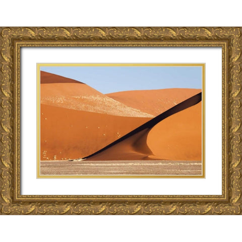 Namibia, Namib-Naukluft Park, Abstract of dunes Gold Ornate Wood Framed Art Print with Double Matting by Kaveney, Wendy