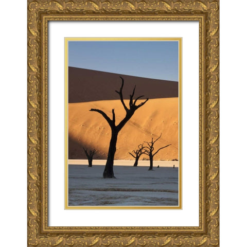 Namibia, Sossusvlei Sunrise on dead trees Gold Ornate Wood Framed Art Print with Double Matting by Kaveney, Wendy